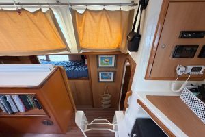 interior, Dolphin 460, catamaran for sale