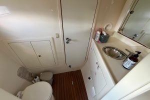 bath, Dolphin 460, catamaran for sale