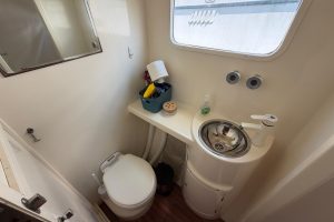 bath, Dolphin 460, catamaran for sale