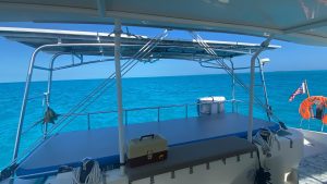 cockpit, Dolphin 460, catamaran for sale