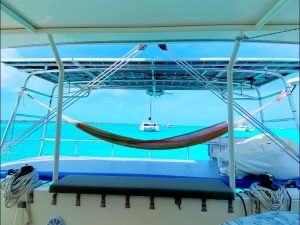 cockpit, Dolphin 460, catamaran for sale
