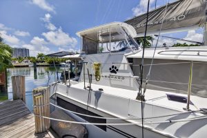 exterior, Leopard 40, catamaran for sale