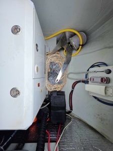 electrical, Lagoon 42, catamaran for sale