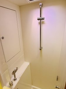 bath, Lagoon 450, catamaran for sale