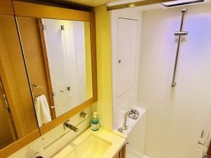 bath, Lagoon 450, catamaran for sale