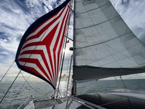 deck, Voyage 440, catamaran for sale