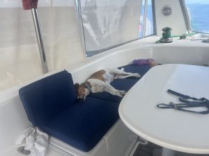salon, Voyage 440, catamaran for sale