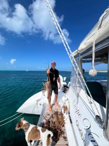 deck, Voyage 440, catamaran for sale