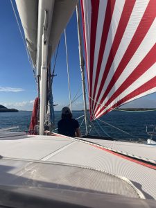 deck, Voyage 440, catamaran for sale