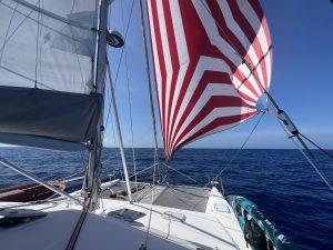 deck, Voyage 440, catamaran for sale