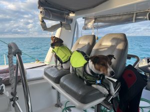 cockpit, Voyage 440, catamaran for sale