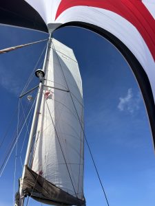deck, Bali 4.1, catamaran for sale