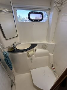 bath, Leopard 46, catamaran for sale