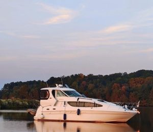 exterior, Sea Ray, trawler for sale