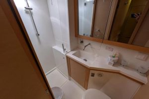 bath, Lagoon 450, catamaran for sale