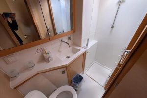 bath, Lagoon 450, catamaran for sale