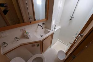 bath, Lagoon 450, catamaran for sale