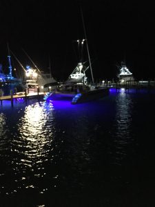 exterior, Alibi 54, catamaran for sale
