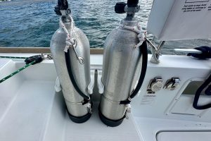 deck, Lagoon 450, catamaran for sale