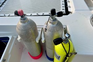 deck, Lagoon 450, catamaran for sale