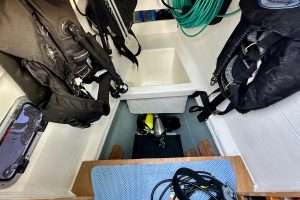 mechanical, Lagoon 450, catamaran for sale