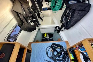mechanical, Lagoon 450, catamaran for sale