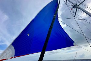 deck, Lagoon 450, catamaran for sale