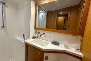 bath, Lagoon 450, catamaran for sale