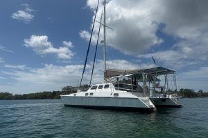 exterior, Kelsall, catamaran for sale