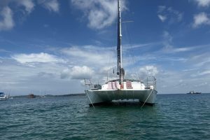 exterior, Kelsall, catamaran for sale