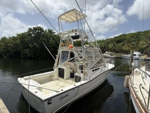 exterior, Carolina Classic 28, trawler for sale