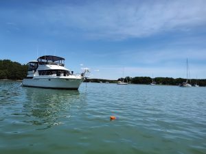 exterior, Carver 430, trawler for sale