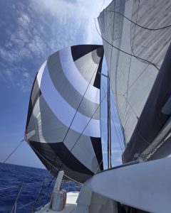 deck, Catana, catamaran for sale