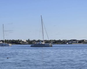 exterior, Catana, catamaran for sale