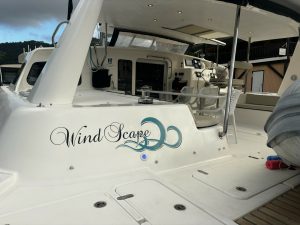 cockpit, Voyage 520, catamaran for sale