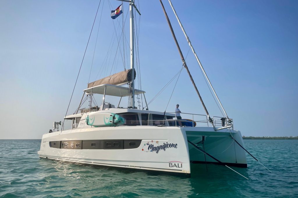 Bali 4.8, catamaran for sale