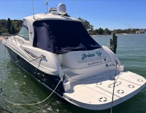 exterior, Sea Ray, trawler for sale