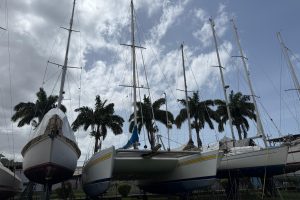 exterior, Custom, catamaran for sale