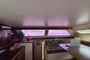 salon, Custom, catamaran for sale