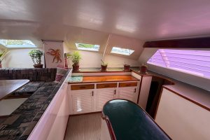 interior, Custom, catamaran for sale