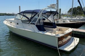 cockpit, Mainship 34, trawler for sale