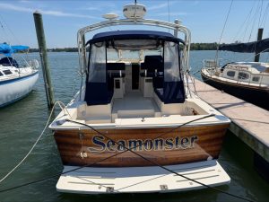cockpit, Mainship 34, trawler for sale