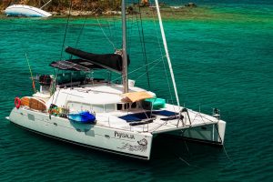 exterior, Lagoon 500, catamaran for sale