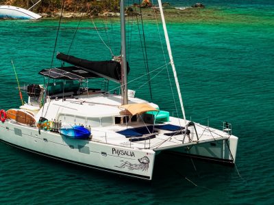 Lagoon 500, catamaran for sale