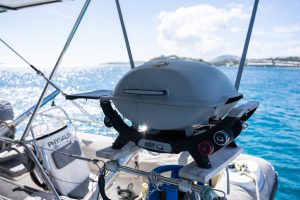helm, Lagoon 500, catamaran for sale