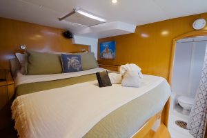 bed, Lagoon 500, catamaran for sale