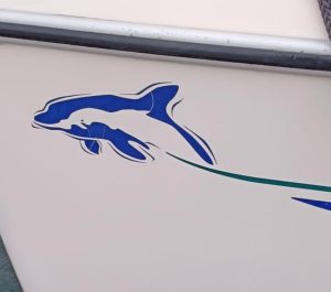 exterior, Privilege 495, catamaran for sale