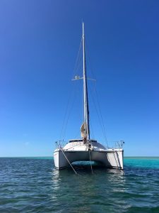 exterior, Privilege 495, catamaran for sale