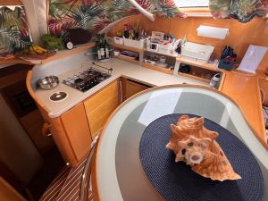 interior, Privilege 495, catamaran for sale