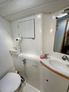 bath, Lagoon 380, catamaran for sale
